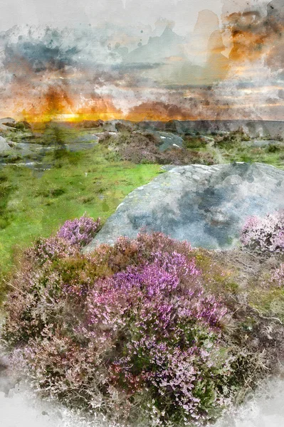 Digitale Aquarellmalerei Von Atemberaubender Landschaft Ansicht Der Spätsommerheide Peak District — Stockfoto