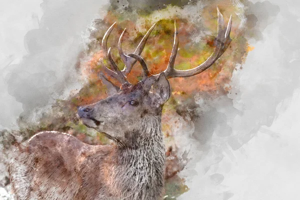 Digital Watercolor Image Digital Watercolor Painting Beautiful Image Red Deer — 스톡 사진