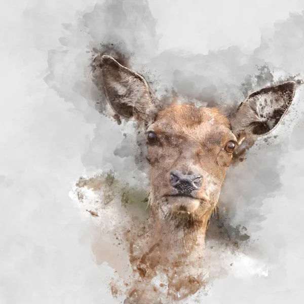 カラフルな森の風景の中で行われた赤鹿の見事なイメージのデジタル水彩画の設定 — ストック写真