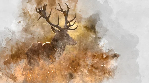 五彩缤纷的秋秋山林中红鹿美丽形象的数字水彩画 — 图库照片