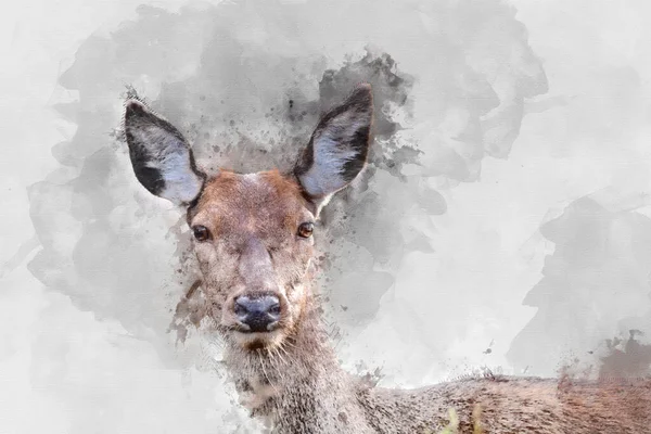 カラフルな森の風景の中で行われた赤鹿の見事なイメージのデジタル水彩画の設定 — ストック写真