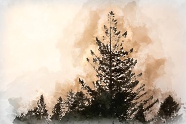 Muhteşem atmosferik kış gökyüzüne karşı siluet çam ağacının güzel manzarası