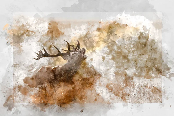 Digital Watercolor Painting Beautiful Image Red Deer Stag Colorful Autumn — Stock Photo, Image