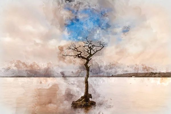 Pintura Aquarela Digital Imagem Majestosa Paisagem Baía Milarrochy Loch Lomond — Fotografia de Stock