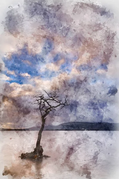 Цифровая Акварельная Живопись Величественного Пейзажа Залива Миларрочи Озере Ломонд Шотландском — стоковое фото