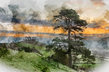 Dorset 'te bir bahar sabahı Colmer' s Hill 'in göz kamaştırıcı gündoğumu manzarasının dijital suluboya resmi.