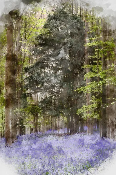 穏やかな朝の間に英語の田舎のブルーベルの森の中で美しい柔らかい春の光のデジタル水彩画 — ストック写真