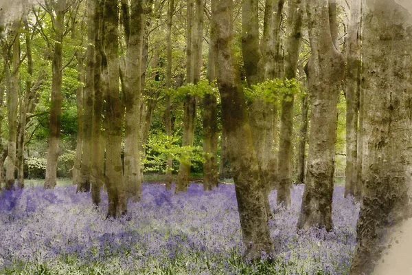 Cyfrowe Malarstwo Akwarelowe Piękne Miękkie Światło Wiosna Lasach Bluebell Żywymi — Zdjęcie stockowe