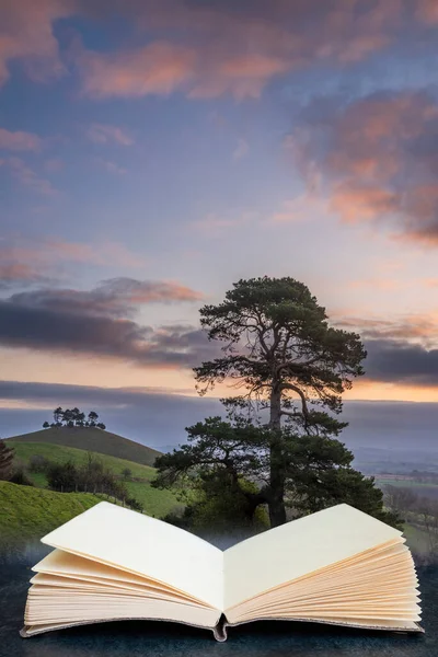 Fantastisk Vacker Soluppgång Landskap Bild Colmer Hill Dorset Vårmorgon Sidor — Stockfoto