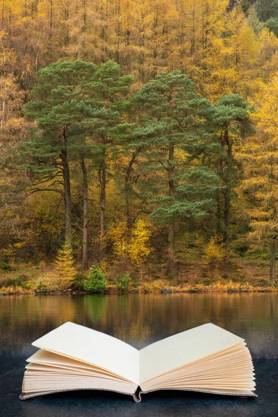 Stunning Vibrant Autumn Fall Landscape Image Blea Tarn Golden Colors — Stock Photo, Image