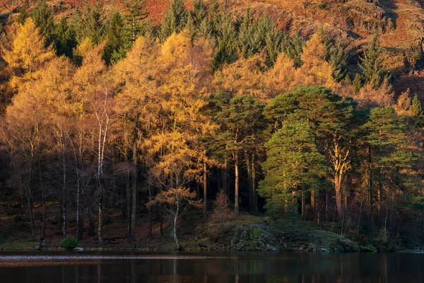 Epická Krajina Východu Slunce Nad Blea Tarn Lake District Ohromujícím — Stock fotografie