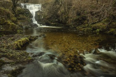 Göl Bölgesi 'ndeki Aira Force Upper Falls' un renkli sonbaharda çekilmiş destansı manzara görüntüsü