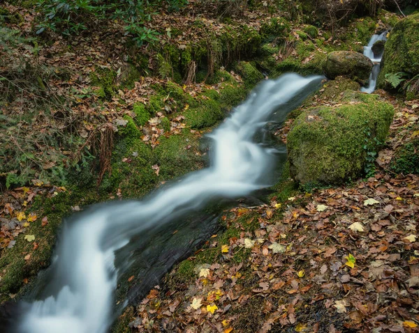 レイク地区の鮮やかな秋の森の中の美しい滝の風景画像 — ストック写真