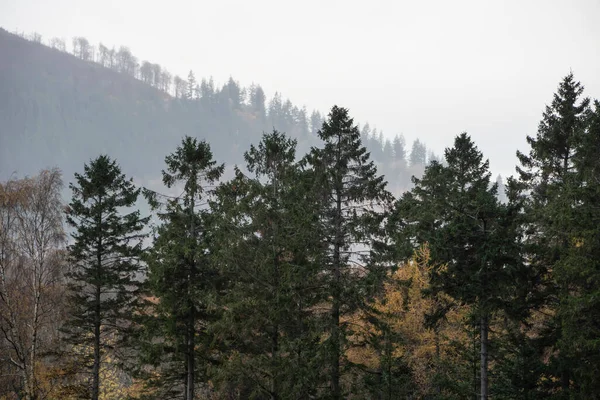 Epische Lebendige Bunte Herbst Landschaft Bild Von Dodd Woods Lake — Stockfoto