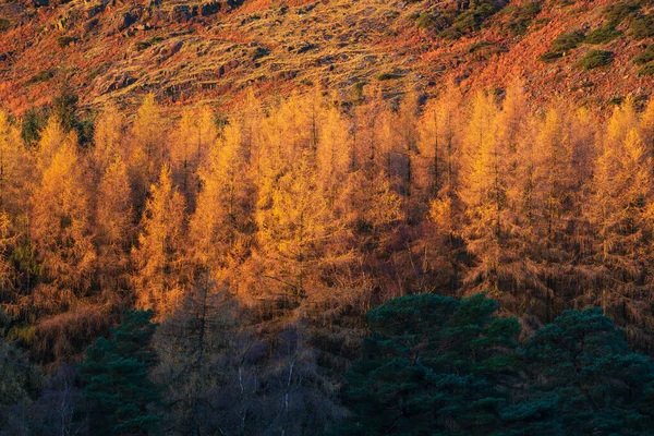 Epická Krajina Východu Slunce Nad Blea Tarn Lake District Ohromujícím — Stock fotografie