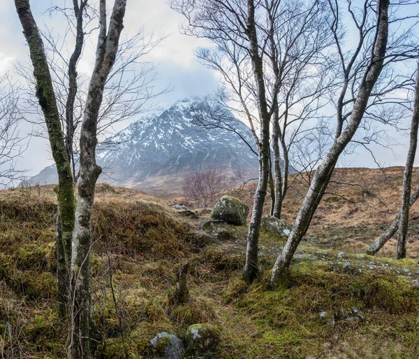 Schöne Landschaft Winterporträt Von Stob Dearg Buachaille Etive Mor Berg — Stockfoto
