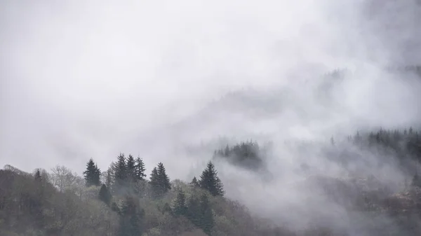 苏格兰本伦蒙德斜坡上的树木间飘扬着美丽的薄雾般的冬季风景 — 图库照片