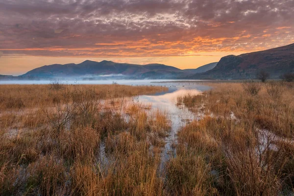 Epic Autumn Sunrise Landscape Image Looking Manesty Park Lake Distict — Stock Photo, Image