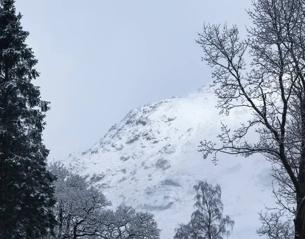 Потрясающий Ландшафтный Образ Заснеженной Шотландской Горы Зимой Просматривается Через Дерево — стоковое фото
