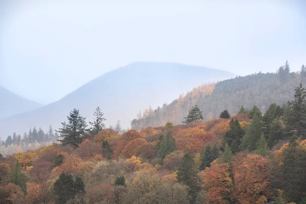 Prachtige Lake District Landschap Beeld Van Levendige Herfst Bossen Met — Stockfoto