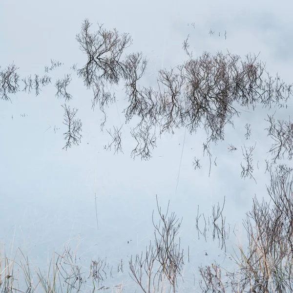 Vacker Pastell Glöd Soluppgång Vinterlandskap Loch Rannoch Moor — Stockfoto