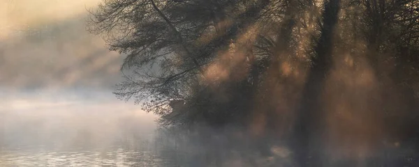 Prachtige Landschapsbeeld Van Zonsopgang Mist Stedelijk Meer Met Zonnestralen Stromen — Stockfoto