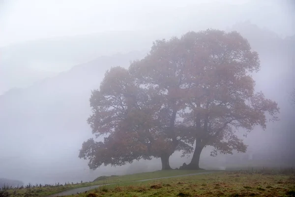 Epicki Jesienny Krajobraz Rzeki Brathay Lake District Patrząc Kierunku Langdale — Zdjęcie stockowe