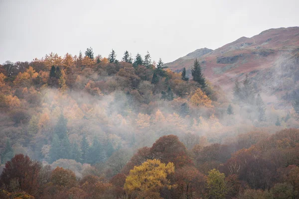 Brathay Nehri 'nin göldeki destansı sonbahar manzarası. Langdale Pikes' e doğru bakıyor. Nehir boyunca sisli ve canlı ormanlık alanlar.