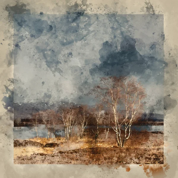 Digital Watercolour Painting Beautiful Sunset Landscape Image Bare Trees Rannoch — стокове фото