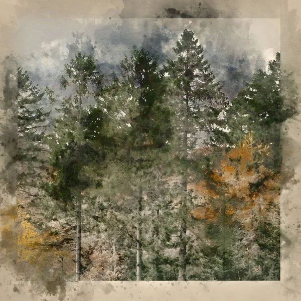 湖地区のドッドの森の壮大なカラフルな秋の風景画像のデジタル水彩画 — ストック写真