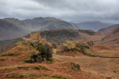 Göl Bölgesi 'ndeki Kayalık Kale' den Yüksek Stil ve Glaramara 'ya uzanan destansı sonbahar manzarası