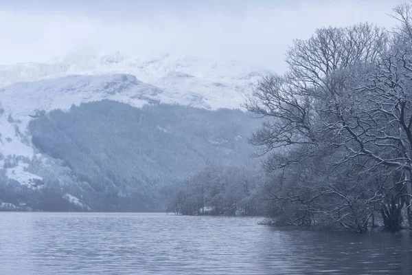 Beautiful Winter Landscape Image Snow Covered Trees Shores Loch Lomond — Stock Photo, Image