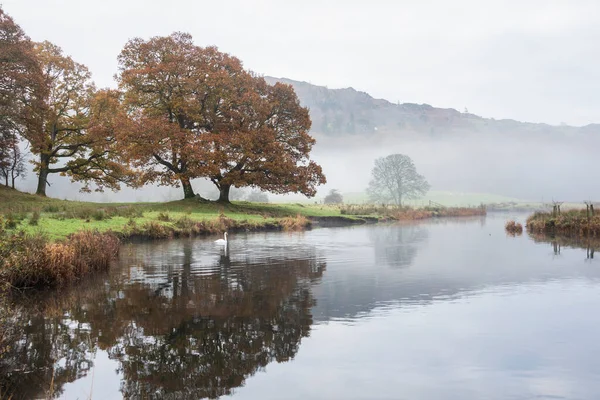 Epic Autumn Landscape Image River Brathay Lake District Lookng Langdale — Stock Photo, Image