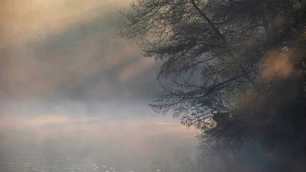 Stunning Landscape Image Sunrise Mist Urban Lake Sun Beams Streaming — Fotografia de Stock