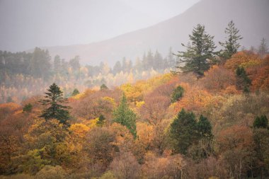 Çevresindeki dağ sıraları ile canlı sonbahar ormanlarının güzel göl manzarası