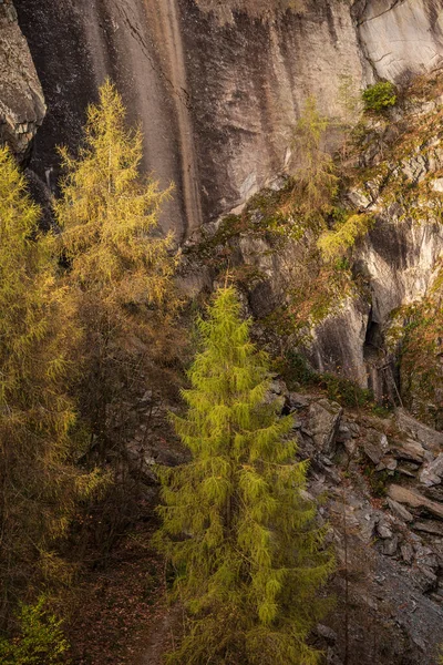 Piękny Jesienny Krajobraz Lasy Wokół Holme Spadł Lake District — Zdjęcie stockowe