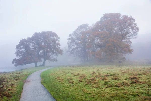 Epic Autumn Landscape Image River Brathay Lake District Lookng Langdale — ストック写真