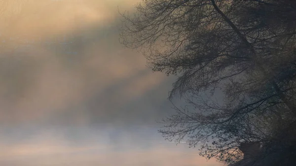 Stunning Landscape Image Sunrise Mist Urban Lake Sun Beams Streaming — Foto de Stock