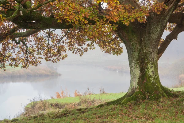 Epicki Jesienny Krajobraz Rzeki Brathay Lake District Patrząc Kierunku Langdale — Zdjęcie stockowe