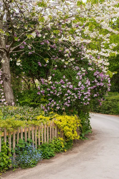 Prachtig Landschapsbeeld Van Typisch Engelse Landentuin Het Voorjaar Met Hekwerk — Stockfoto