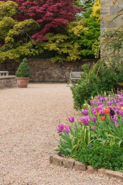 Tipik İngiliz kır bahçesinin bahar ya da yaz aylarındaki güzel manzarası