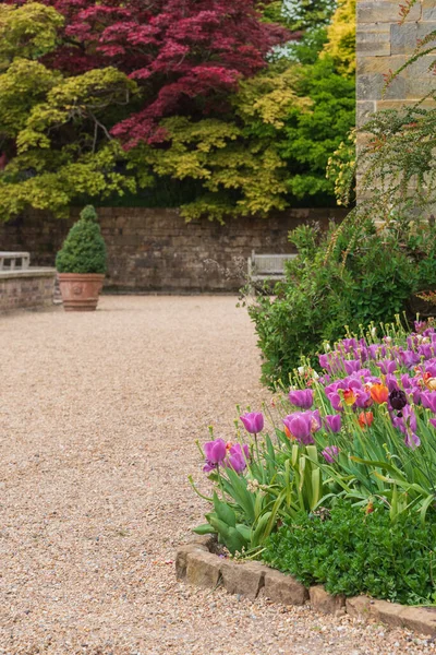 Vacker Landskapsbild Typiskt Engelskt Land Trädgård Våren Eller Sommaren — Stockfoto
