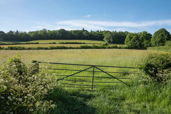 Vacker Sommar Landskap Bild Typiska Engelska Landsbygden — Stockfoto
