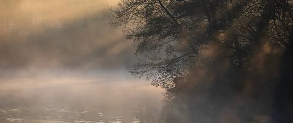 Impresionante Imagen Paisajística Niebla Del Amanecer Lago Urbano Con Rayos — Foto de Stock