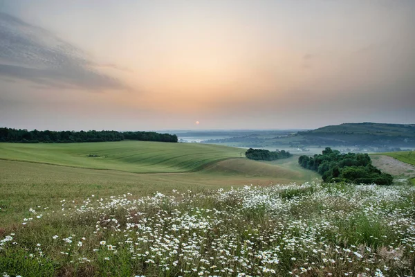 Beautiful Summer Sunrise Landscape Image Looking Fields Mist Distance Hazy — Stock Photo, Image