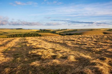 Beautiful Summer sunrise English countryside landscape image with lovely golden hour sunlight
