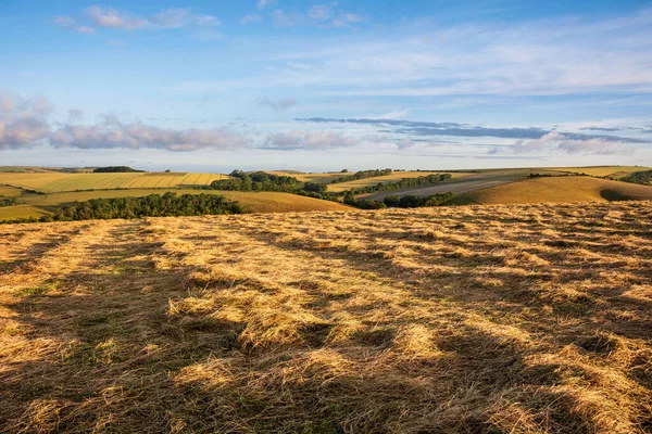 Beautiful Summer Sunrise English Countryside Landscape Image Lovely Golden Hour — Stock Photo, Image