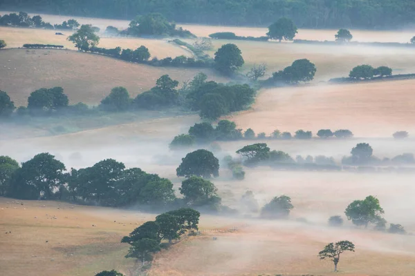 Stunning Landscape Image Layers Mist Rolling South Downs National Park — Fotografia de Stock