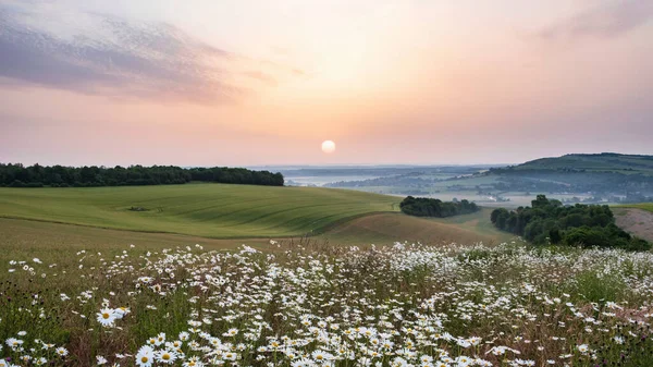 Bella Immagine Del Paesaggio Alba Estate Guardando Oltre Campi Con — Foto Stock