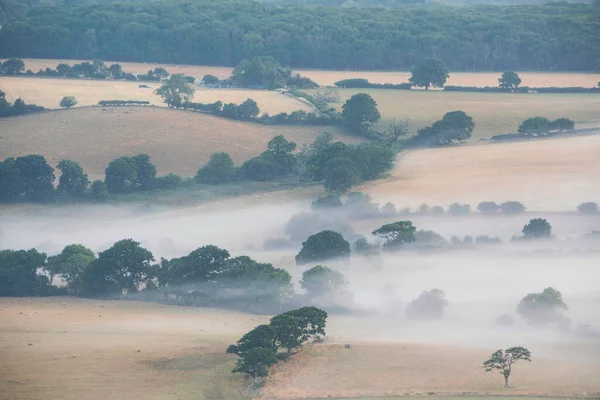 Stunning Landscape Image Layers Mist Rolling South Downs National Park — Stock Photo, Image